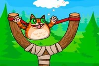 Kasta katten genom ringarna och samla stjärnor