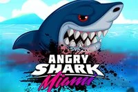 Njut av en otrolig version av det legendariska Angry Shark!