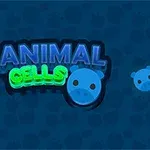 Blå bakgrund med neontexten ANIMAL CELLS och en illustration av blå celler med djuransikten, samt en markörhand