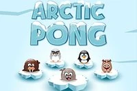 Lilla sälen behöver din hjälp!