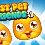 Gula tecknade kycklingar med stora ögon och en färgglad text med orden Best Pet Friends mot en blå bakgrund
