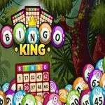 Färgglada bingobollar med Bingo King skrivet i mitten, omgiven av gröna växter och träd