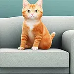En orange katt sitter på en ljusblå soffa mot en blå vägg