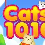 Färgglad illustration med orden Cats 1010 och lekfulla katter i bakgrunden