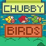 Tre pixlade fåglar i olika färger framför en stadssilhuett med texten Chubby Birds