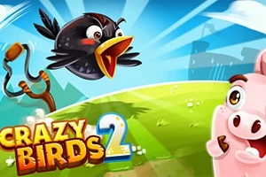 En tecknad svart fågel flyger genom luften mot en vit gris på en grön äng med en slangbella i bakgrunden och texten Crazy Birds 2 i förgrunden