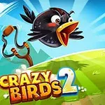 En tecknad svart fågel flyger genom luften mot en vit gris på en grön äng med en slangbella i bakgrunden och texten Crazy Birds 2 i förgrunden