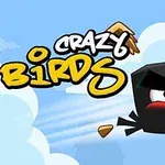 Svart tecknad fågel som flyger genom luften med stukade träbitar och texten Crazy Birds i bakgrunden