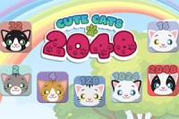 2048 med katter