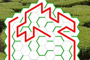 Röd zickzacklinje över hexagonalt rutmönster med en bakgrund av gröna buskar