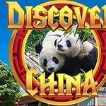 Två pandor omgivna av bambu i en cirkel med texten Discover China mot en blå himmel och traditionella kinesiska byggnader i bakgrunden