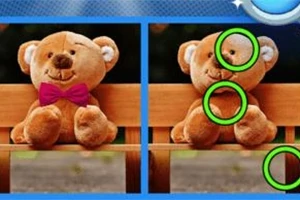 Nallebjörn i två bilder med skillnader markerade med gröna cirklar