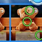 Nallebjörn i två bilder med skillnader markerade med gröna cirklar