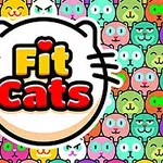 En färgglad bakgrund med tecknade kattansikten och texten Fit Cats i mitten