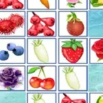 En rutnätslayout fylld med olika frukter och blommor på en blå bakgrund