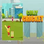 Tecknad bild av två barn som spelar cricket, en i en stadspark och en vid en strand, med texten Gully Cricket i mitten