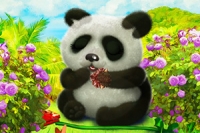Ta hand om en supergullig panda i detta söta djurspel!