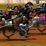Hästar i sulkylopp tävlar på en hästkapplöpningsbana med jockeys i färgglada dräkter