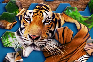 En tiger betraktras genom ett pussel av hexagonala bitar med blå bakgrund