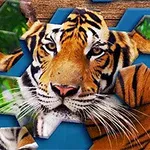 En tiger betraktras genom ett pussel av hexagonala bitar med blå bakgrund