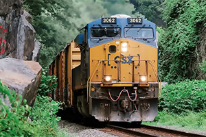 Ett gult och blått godståg kör genom en grönskande skogsmiljö bredvid en stenklippa