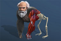 Simulator för livets evolution och ursprung på planeten
