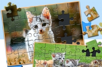 Jigsaw Puzzle Katter & Kattungar är ett intressant pusselspel att spela