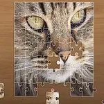 Ett pussel med ett delvis sammansatt motiv av en katt på en träbakgrund