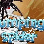 Texten Jumping Spider i blått med en svart spindel ovanpå spelkort mot en brun bakgrund