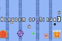 Hej från Kingdom of Ninja 3-serien