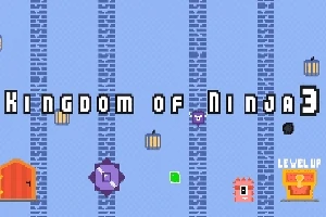Texten Kingdom of Ninja 3 visas mot en bakgrund med tegelmönster och spelikoner, inklusive en röd dörr och en nivå-uppmarkör