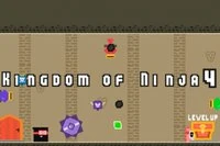 Kingdom Of Ninja 4 är den fjärde delen i Kingdom of Ninja-serien
