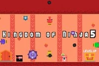 Kingdom Of Ninja 5 är den femte delen i Kingdom of Ninja-serien