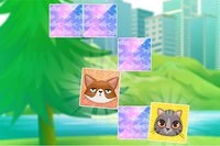 Hur många matchande kattungar kan du hitta