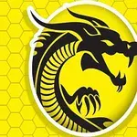 Svart draksilhuett mot en gul, hexagonmönstrad bakgrund