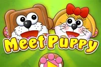 I Meet Puppy blev ett hundpar separerade, och de visste inte vad de skulle