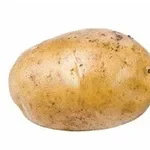 En ensam potatis mot en vit bakgrund