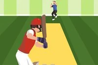Kan du bli världsmästare i cricket?