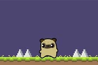 Pug Love-äventyret börjar idag!