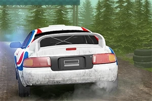 En rallybil kör på en grusväg omgiven av skog