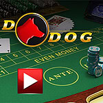 Ett grönt spelbord med kort, spelmarker och texten RED DOG i rött och gult