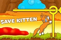 Katastrof! Arga Tom-katten lurade in kattungar i sitt torn
