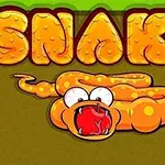 Tecknad orange orm med stora ögon och röd mun framför texten SNAKE i orange bokstäver på en grön och brun bakgrund