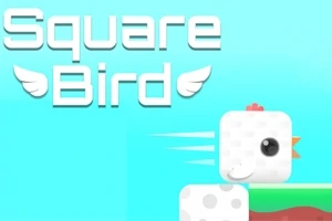 En fyrkantig fågel med ett glatt ansikte och en röd kam på ett färgglatt blocklandskap med texten Square Bird ovanför