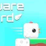 En fyrkantig fågel med ett glatt ansikte och en röd kam på ett färgglatt blocklandskap med texten Square Bird ovanför