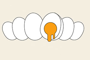 Illustration av flera vita ägg på rad, med ett ägg delat och gul gulan synlig