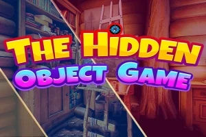 Texten The Hidden Object Game i färgglada bokstäver överlappar en träinteriör med hyllor och en stege