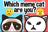 Hitta din meme-katt: Emoji-quiz