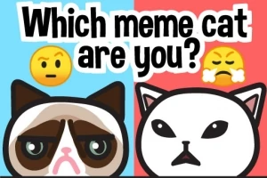 Två tecknade katter med olika ansiktsuttryck, en med sur min och den andra arg, mot en delad blå och röd bakgrund med texten Which meme cat are you?