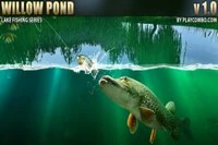 Willow Pond, ett färgglatt fiskesimulator
